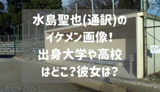 住田裕子 弁護士 若い頃の画像と娘が可愛い 草加の冤罪とは スタロマ