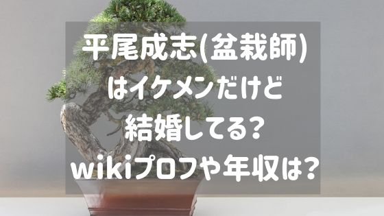 平尾成志 盆栽師 はイケメンだけど結婚してる Wikiプロフや年収は スタロマ